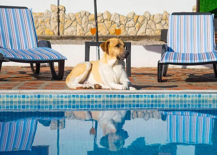 Casa Βίλα Veli Dol